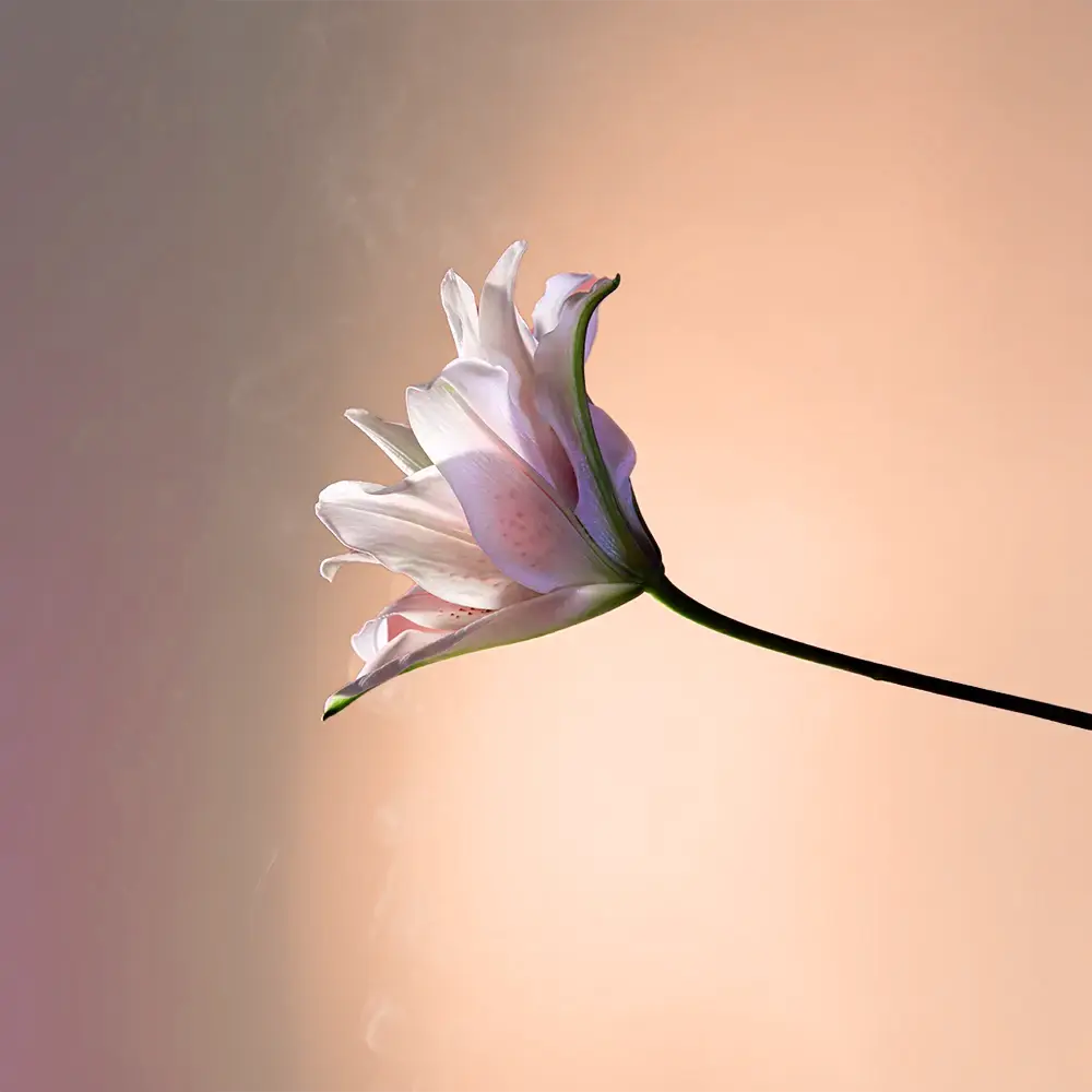 العناية بالبشرة